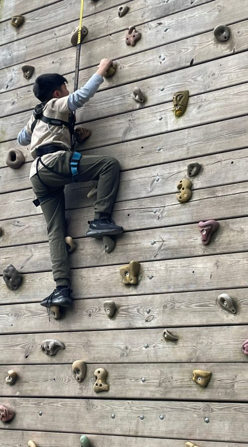 pgl2 pgl2